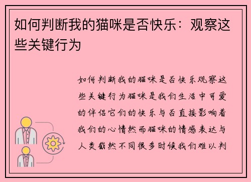 如何判断我的猫咪是否快乐：观察这些关键行为